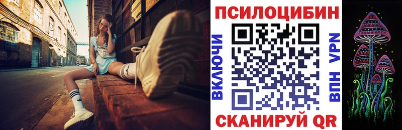 кракен ONION  Сосновый Бор  Галлюциногенные грибы Cubensis 