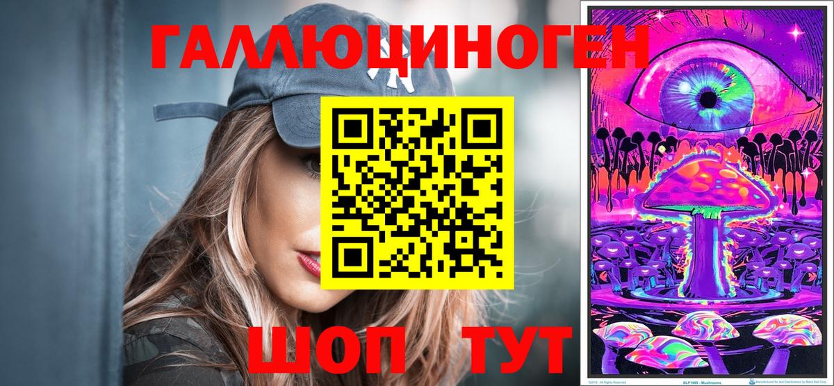 Сосновый Бор  Псилоцибиновые грибы Psilocybe  Псилоцибиновые грибы GOLDEN TEACHER  Вход с VPN 