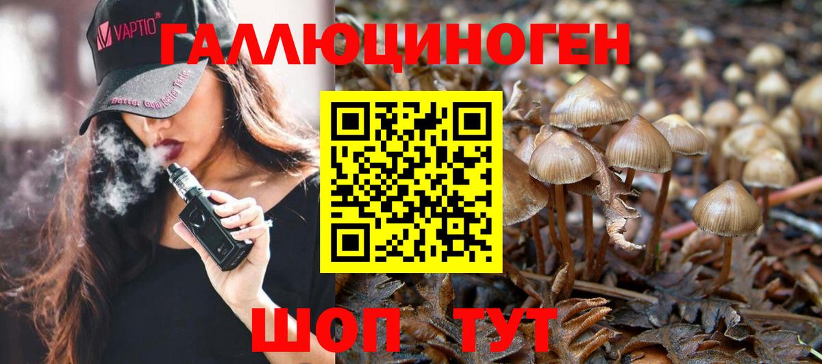 Галлюциногенные грибы мицелий Сосновый Бор